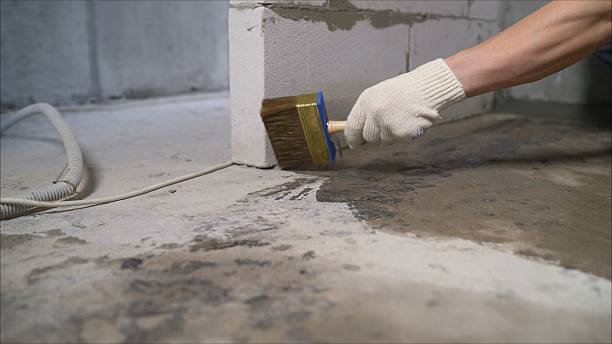 24/7 Emergency Interior Drainage System experts in Bergenfield, NJ